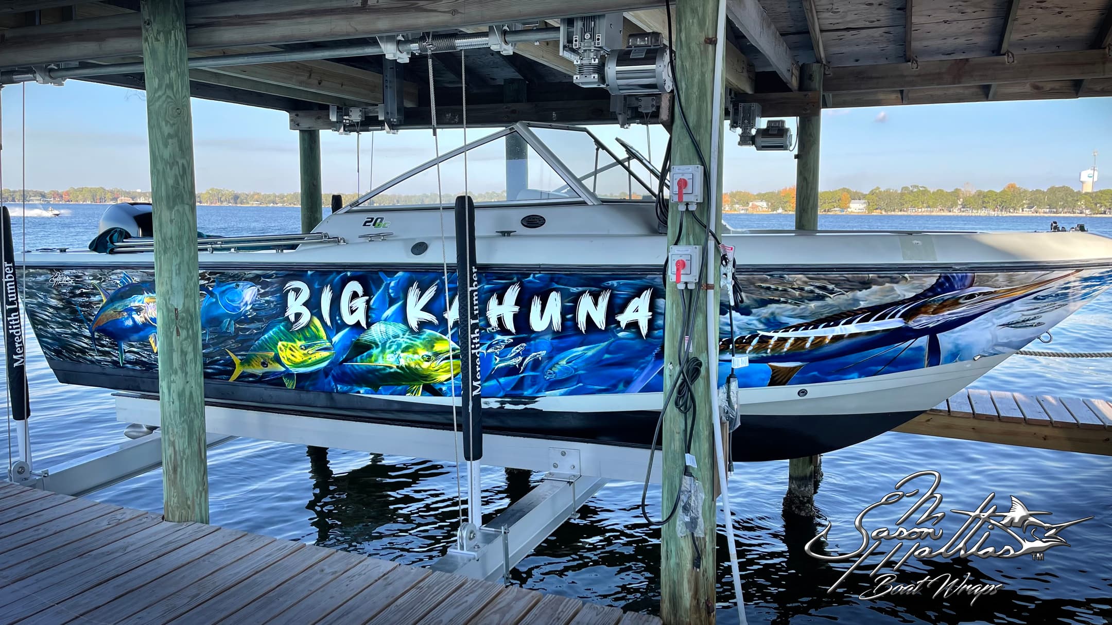 Jason Mathias marine wildlife artwork